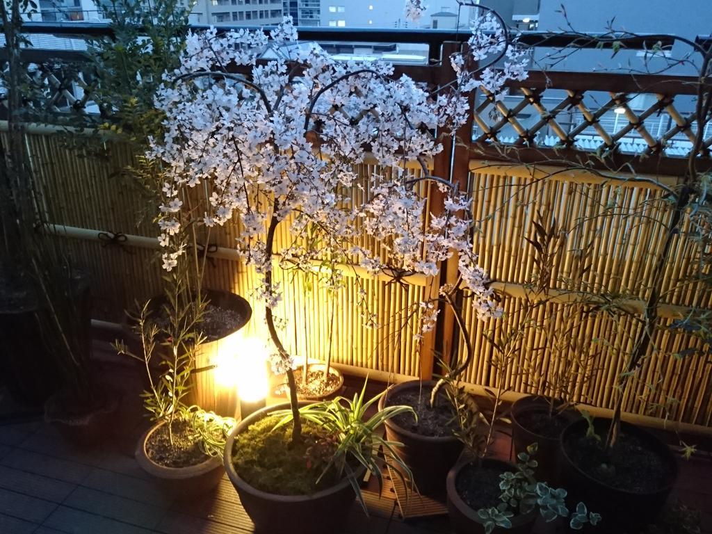 Hostel Sakura La An Οσάκα Εξωτερικό φωτογραφία